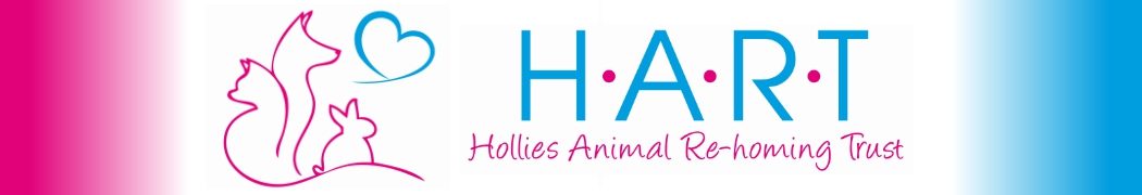 Hollies Animal Re-homing Trust